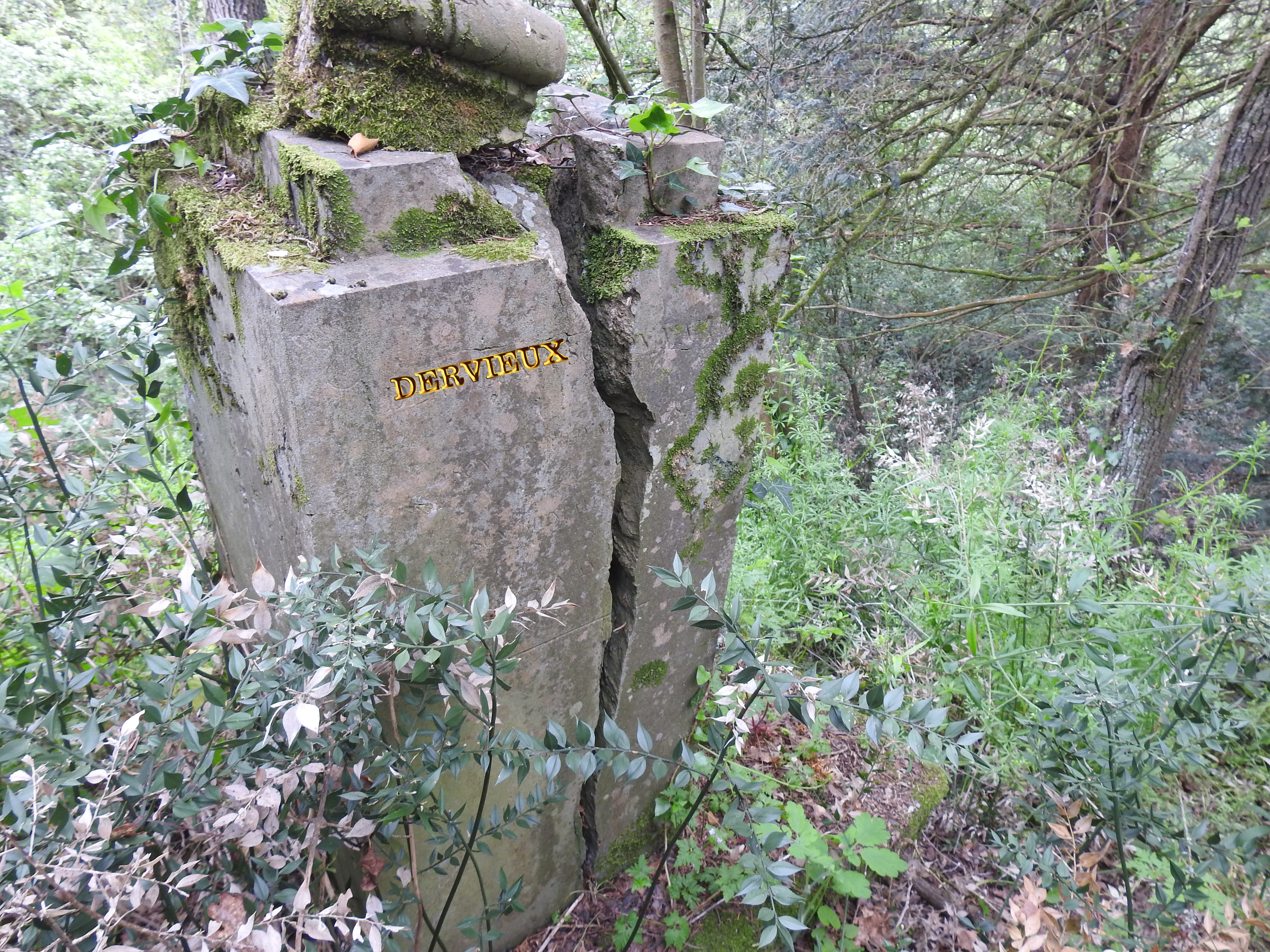 DERVIEUX