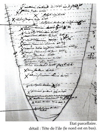 Terrier 2 eme page 2 eme page